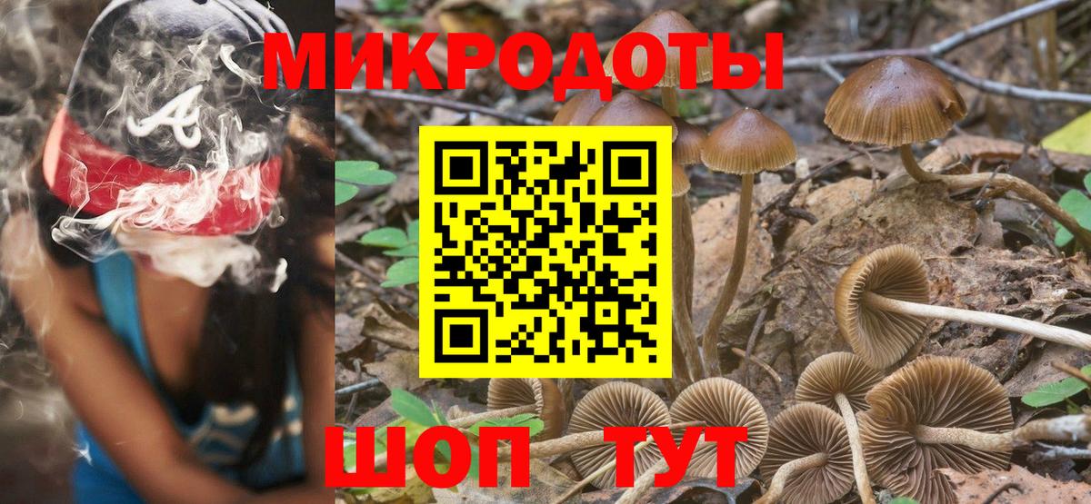 Псилоцибиновые грибы GOLDEN TEACHER  Вход с VPN  Псилоцибиновые грибы Magic Shrooms  Электрогорск 