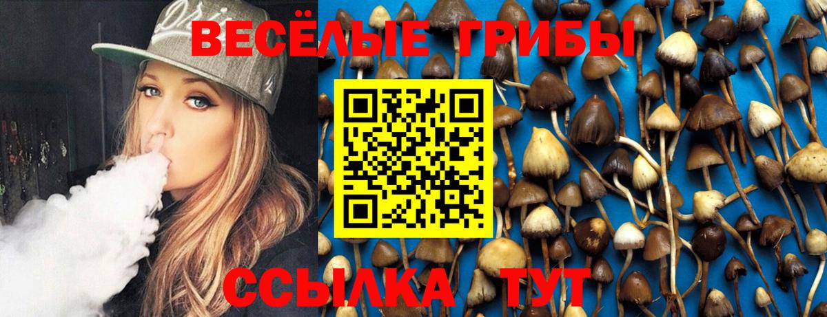 Галлюциногенные грибы GOLDEN TEACHER Электрогорск